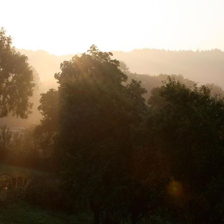 Eifel Rebeige Gerolstein Leilighet Kopp Eksteriør bilde
