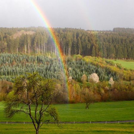 Eifel Rebeige Gerolstein Leilighet Kopp Eksteriør bilde